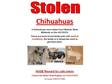 Stolen Chihuahua s - PLEASE help me